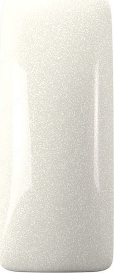 Magnetic Nail Design Σκόνη Ακρυλικού 12гр