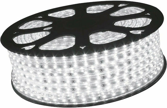 Avide Αδιάβροχη Ταινία LED ABLS220V3528-60NW67 220V Φυσικό Λευκό Φως 50m Τύπου SMD3528