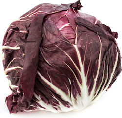 Radicchio Rosso BOTTICELLI 10.000 pel