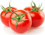 Tomato Panekra 500 seeds