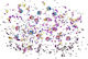 Shimmer & Shine Confetti Multicolour 34gr