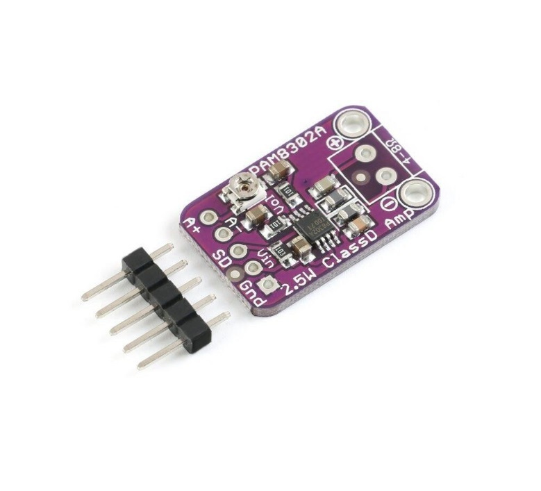 PAM8302 2.5W Single Channel Class D Audio Amplifier Development Board