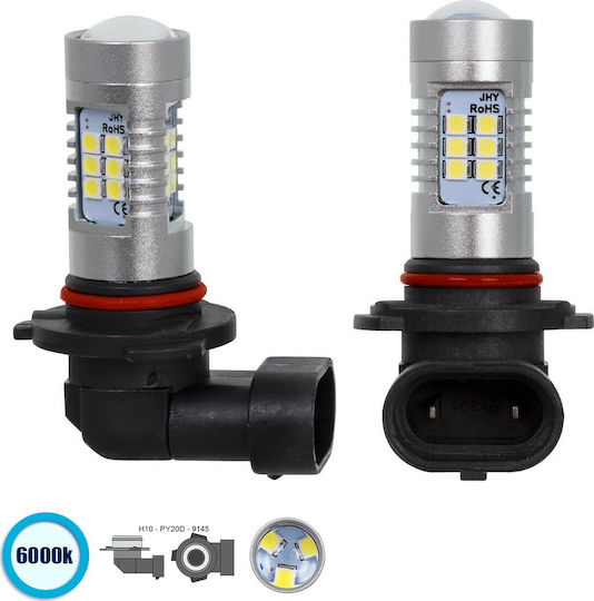 GloboStar Glühbirnen Auto H10 Canbus LED 6000K Kaltes Weiß 12V 80W 2Stück