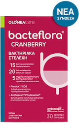Olonea BacteFlora Cranberry Πρεβιοτικά 30 κάψουλες