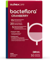 Olonea Bacteflora Cranberry Olonea Bacteflora Cranberry