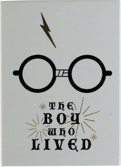 Half Moon Bay Harry Potter The Boy Who Lived Ορθογώνιο Μαγνητάκι Μεταλλικό 9x6.5εκ.