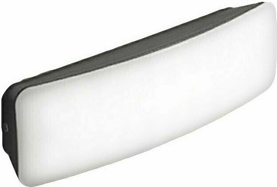 Gea Luce Dagr Επιτοίχια Εξωτερική Πλαφονιέρα LED IP54 7W με Φυσικό Λευκό Φως