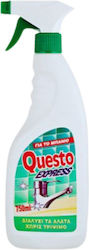 Questo Υγρό Καθαριστικό Κατά των Αλάτων 750ml