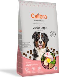 Calibra Premium Junior Large 12kg