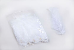 Feather - Handicraft wings HJ-003 WHITE