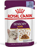 Royal Canin Sensory Taste Jelly Nasses Katzenfutter für Katze in Beutel 85gr 2642010