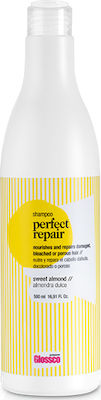 Glossco Professional Perfect Repair Șampoane de Reconstrucție/Nutriție pentru Fragil Păr 1x500ml