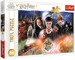 Kids Puzzle Harry Potter Secret for 8++ Years 300pcs Trefl