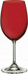 Bohemia Sylvia Glass Set for White and Red Wine made of Crystal in Red Color Stacked 350ml 6pcs