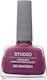 Seventeen Studio Rapid Dry Lasting Color Gloss ...