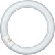 Geafos Leuchtstofflampe mit Form T9 40W
