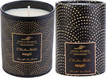 Little Secrets Magic Christmas Black Candle