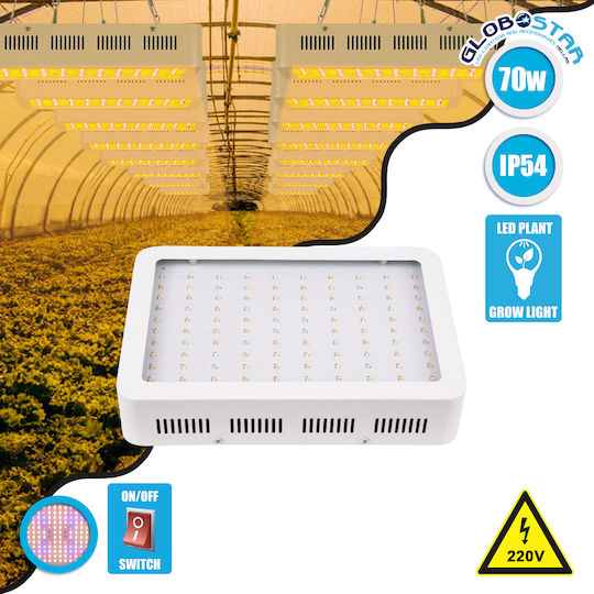 GloboStar Pendant Grow Light with LED and Power 70W L30xW21xH6cm.