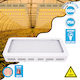 GloboStar Pendant Grow Light with LED and Power 160W L40xW18xH6cm.