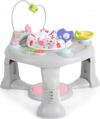 Moni Activity Table for 6++ Months