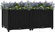 vidaXL Blumenkasten 80x38cm in Schwarz Farbe 316531