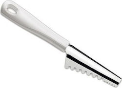 Ghidini Stainless Steel Fish Scaler