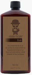 Barba Italiana Ercole Anti-Age Shampoo Duschgel 400ml Barba Italiana Ercole Anti-Age Shampoo Duschgel 400ml