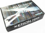 Car Xenon Kit Quality H1 55W 6000K Cold White