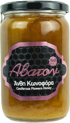 'Avaton Organic Product Honey Flower 850gr