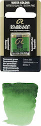 Royal Talens Rembrandt Watercolour Green