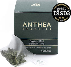 Anthea Organics Mint Μέντα Βιολογικό 10 Φακελάκια 15gr