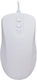 Active Key AK-PMH12 Cu fir Mouse Alb