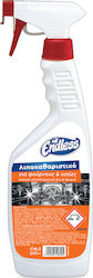 Endless Spray de Curățare Unsoare Pentru cuptoare și plite 500ml 1buc