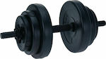 Dumbbell 1x10kg