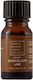Sanko Scent Aromatic Oil Σοκολάτας 10ml