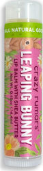 Crazy Rumors Shea Butter Lip Balsam Iepurașul s...