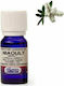 Argital Niaouly Αιθέριο Έλαιο Νιαουλί 10ml