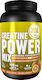 Creatine Power Mix Tasty Mango Orange 1000gr