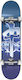Red Dragon Hit Twice Complete Shortboard 8" Blue