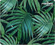 Natec Modern Art Palm Tree 10pack Mouse Pad 220...