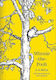 Winnie-the-Pooh