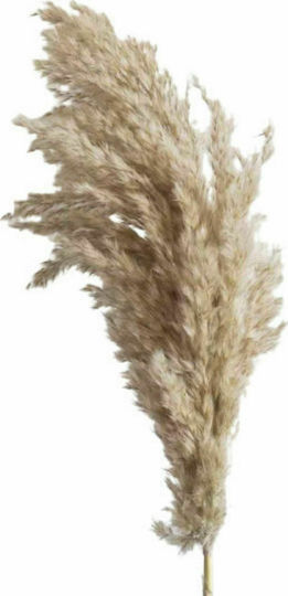 Artificial Decorative Pampas Grass Branch Ebutterflies