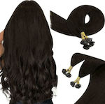 Bioshev Professional Extension Keratin with Natural Hair Remy in Dark Chestnut Color 50cm