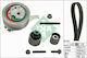 INA Set of Car Engine Belt for Seat Leon Skoda Octavia Volkswagen Golf Audi A3 / A4 / A5 / A6 / Q5 530065010