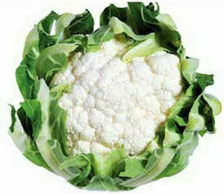 Syngenta Alfeen F1 Seeds Cauliflower 2500pcs