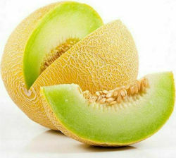 Geoponiki Galia F1 Seeds Melon 25pcs