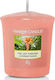 Yankee Candle Scented Candle with Scent Last Paradise Red 49gr 1pcs