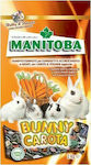 Hrană pentru iepuri Manitoba bunny carota 1kg MANITOBA (20102348)