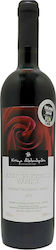 Ktima Alexandridi Bio Verbotene Frucht Rot Trocken 750ml Ktima Alexandridi Bio Verbotene Frucht Rot Trocken 750ml