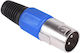 Stecker XLR männlich Schwarz (DM-0054C)